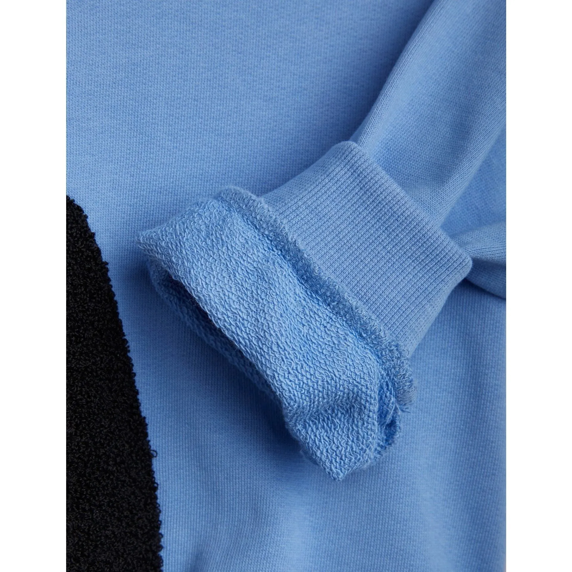 Bloodhound Chenille Sweatshirt