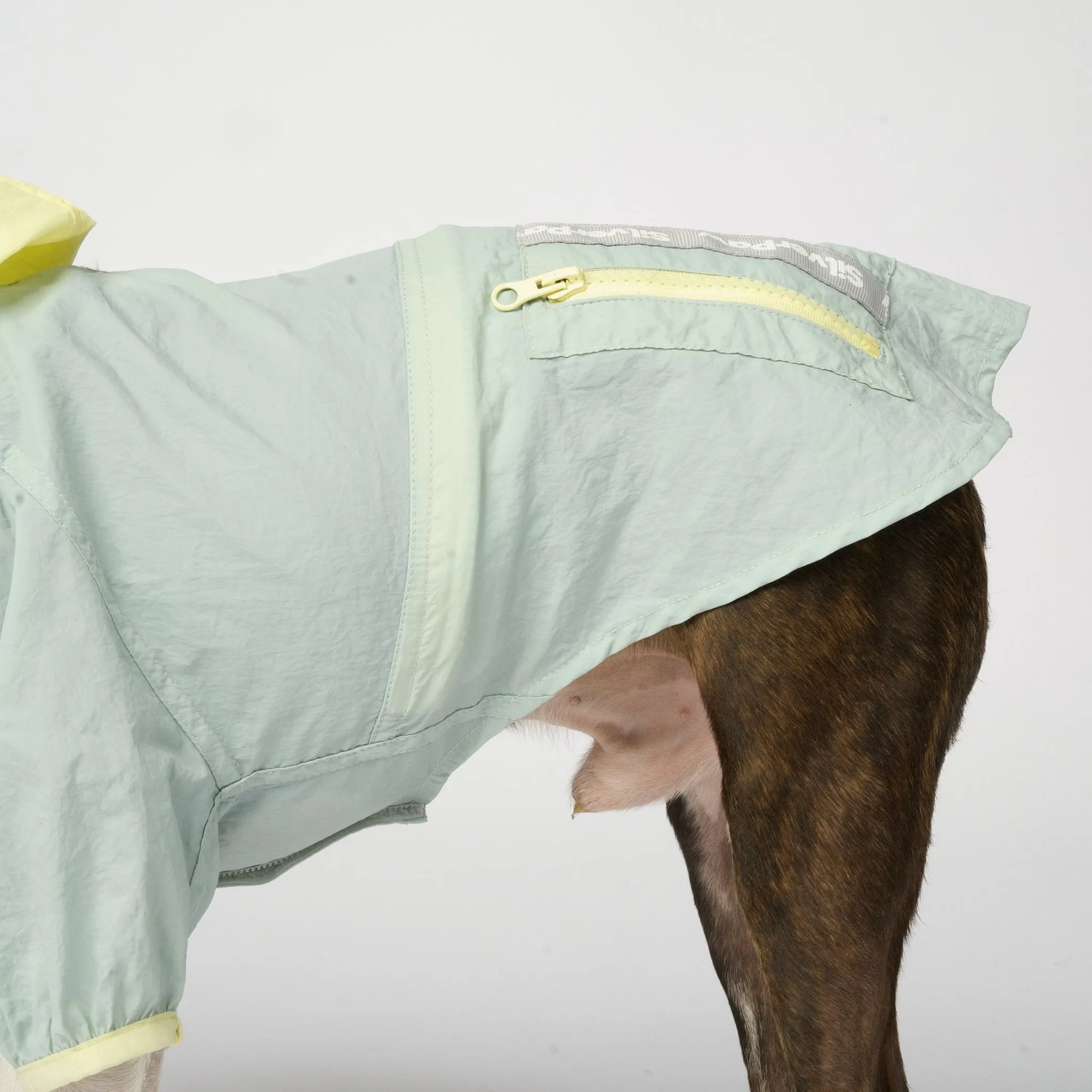 Bobbi 2-Piece Splash Suit | Versatile Water-Resistant Dog Raincoat