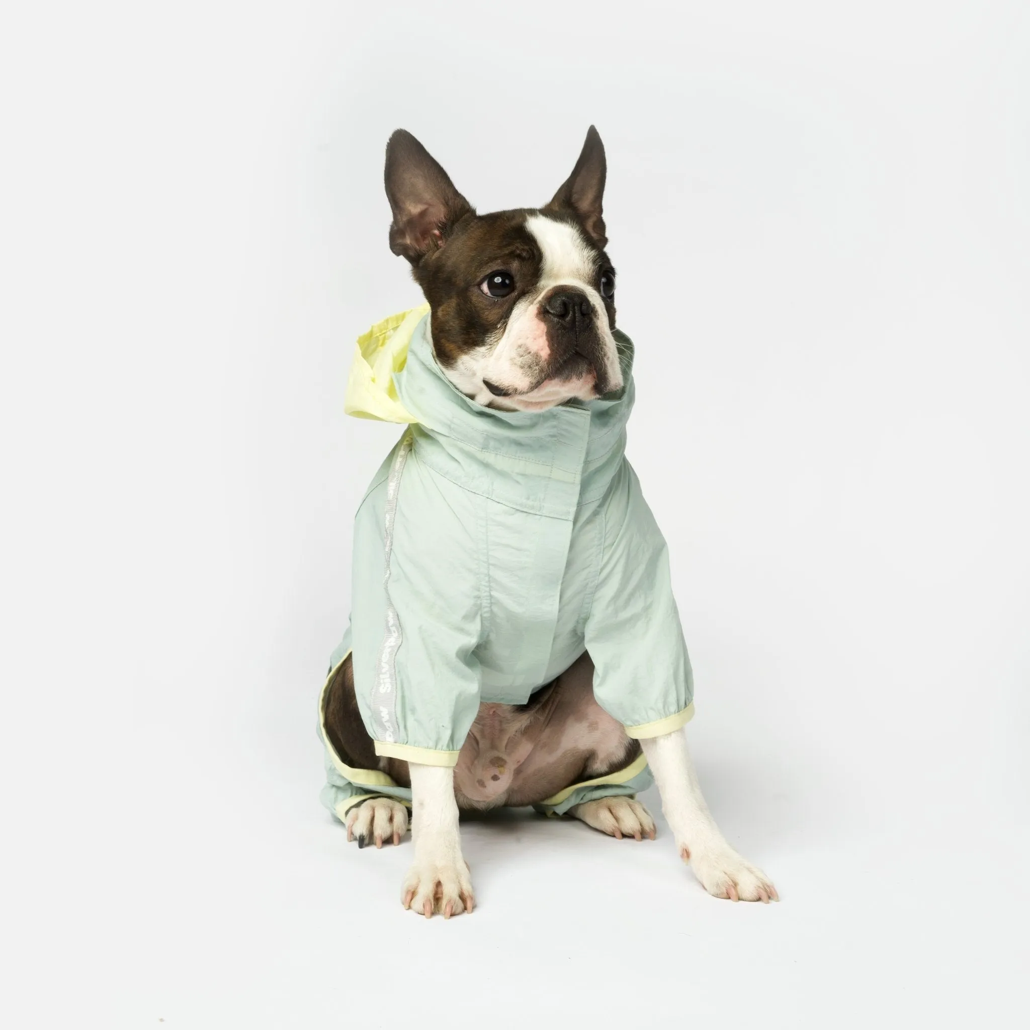 Bobbi 2-Piece Splash Suit | Versatile Water-Resistant Dog Raincoat