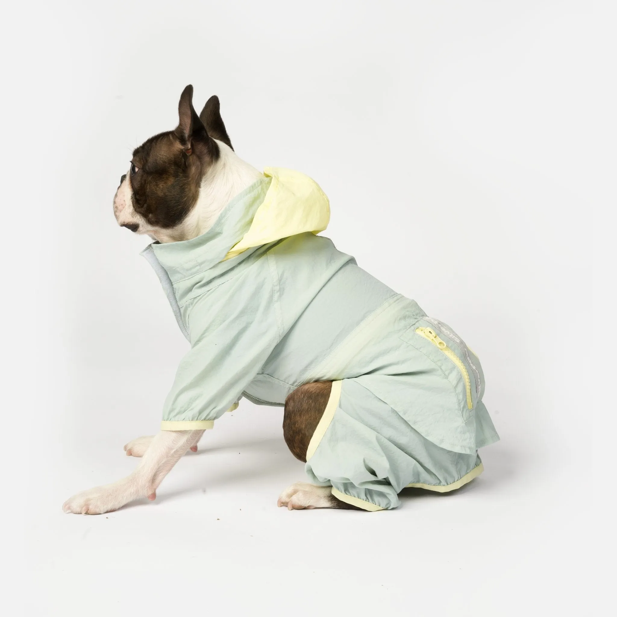 Bobbi 2-Piece Splash Suit | Versatile Water-Resistant Dog Raincoat