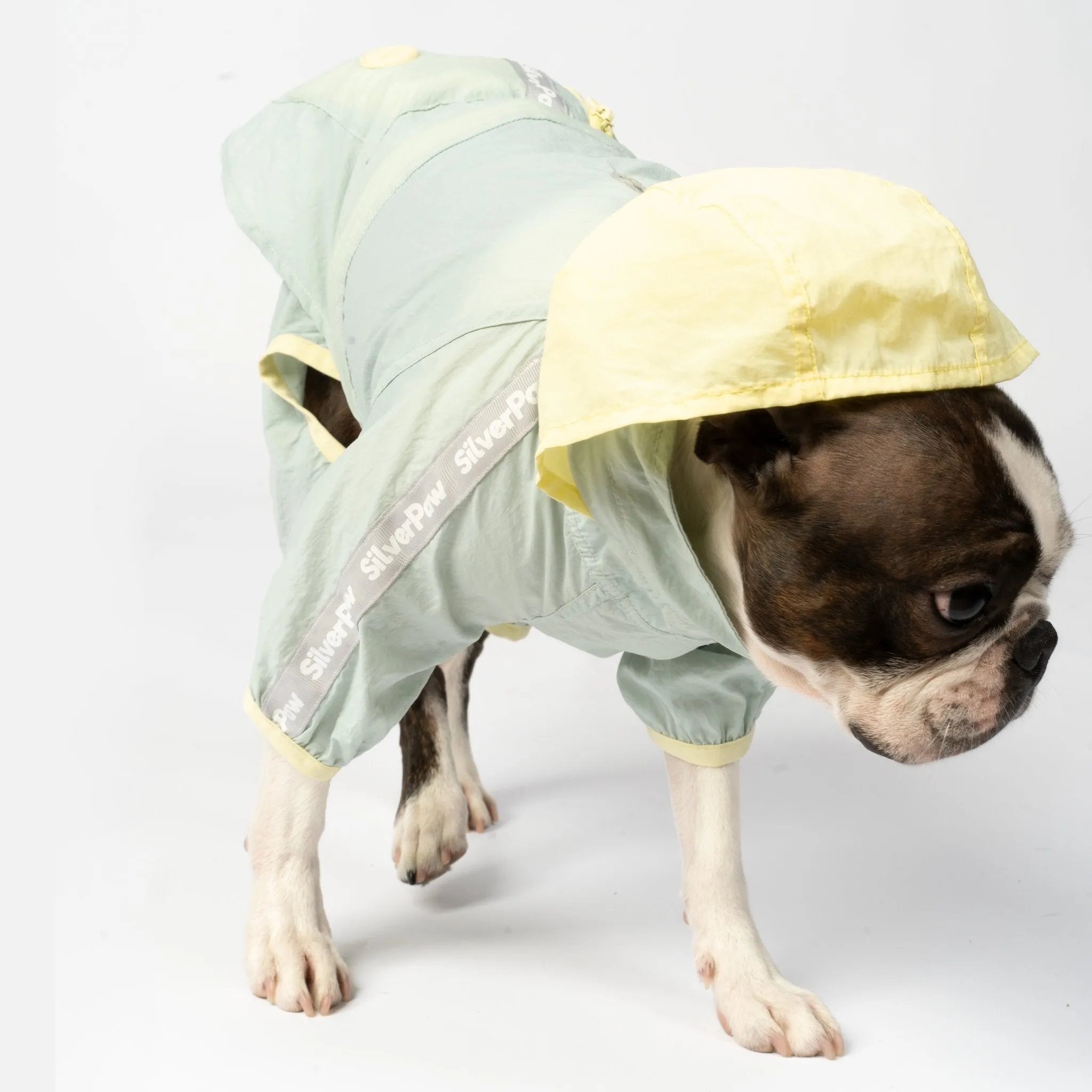 Bobbi 2-Piece Splash Suit | Versatile Water-Resistant Dog Raincoat