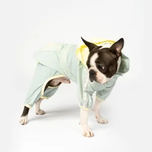 Bobbi 2-Piece Splash Suit | Versatile Water-Resistant Dog Raincoat