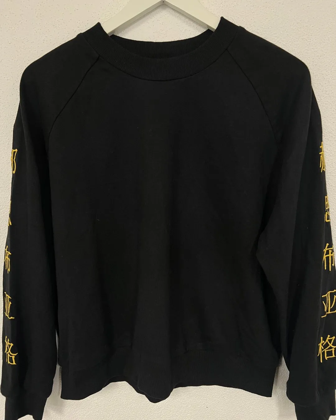 Sweatshirt with embroidery details on sleeve
